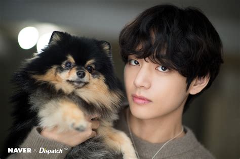 bts v dog.